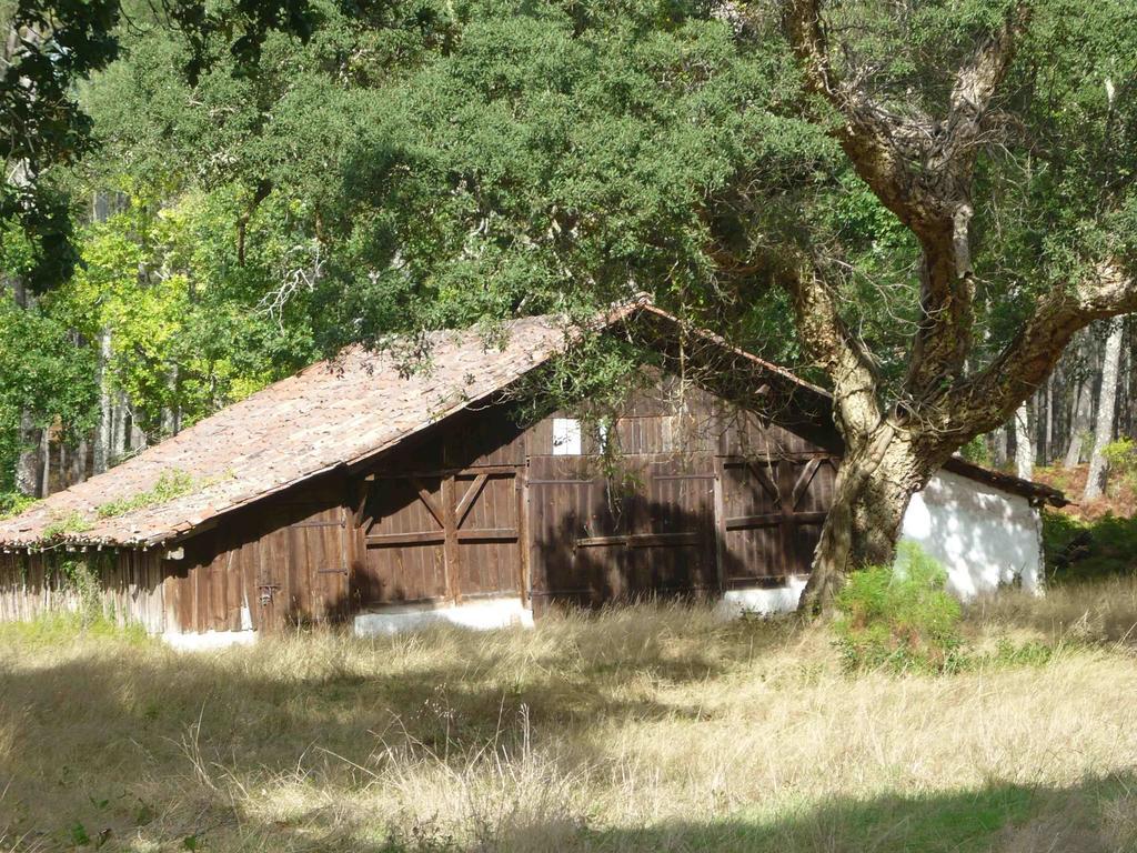 Appartements A Cote Lac Marin De Port D'Albret Vieux-Boucau-les-Bains Eksteriør billede