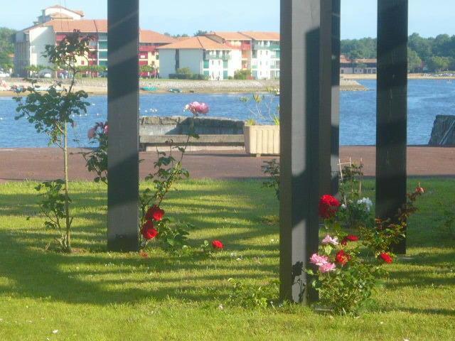 Appartements A Cote Lac Marin De Port D'Albret Vieux-Boucau-les-Bains Værelse billede